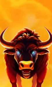 Big Wild Buffalo 2